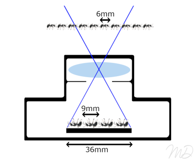 Taux de grandissement