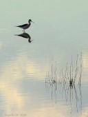 IMG_3724.JPG