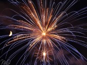 IMG_5279.JPG